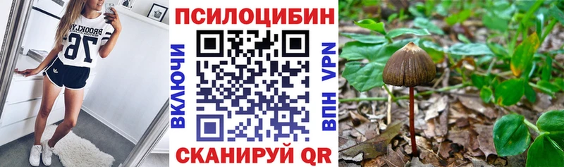 Галлюциногенные грибы мицелий  сколько стоит  Сасово 